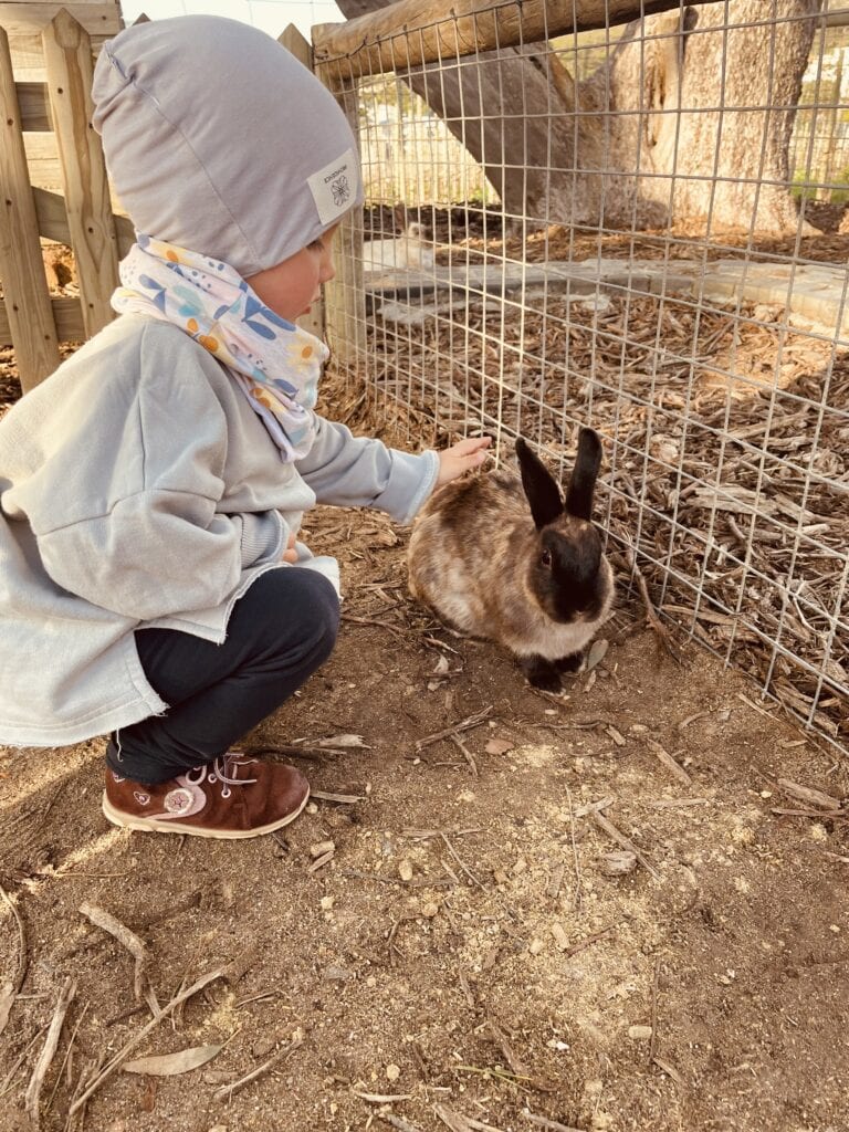 Your Child's Natural Way Of Learning (It's Not What Traditional Schools Do) 17 A girl from the playgroup petting a rabbit