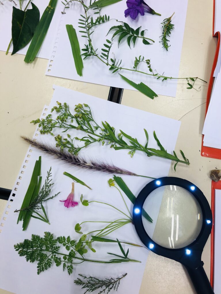 Your Child's Natural Way Of Learning (It's Not What Traditional Schools Do) 19 Exploration of plants and nature