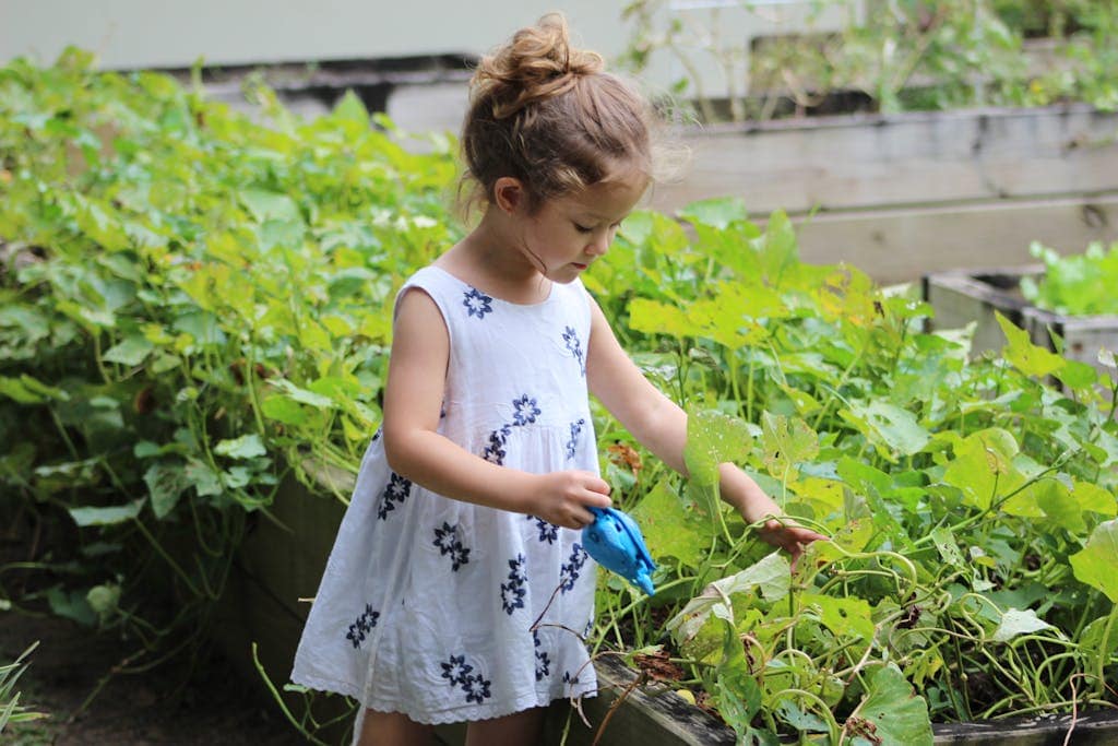 Your Child's Natural Way Of Learning (It's Not What Traditional Schools Do) 14 A young girl tending to plants in a summer garden, capturing joy and nature.