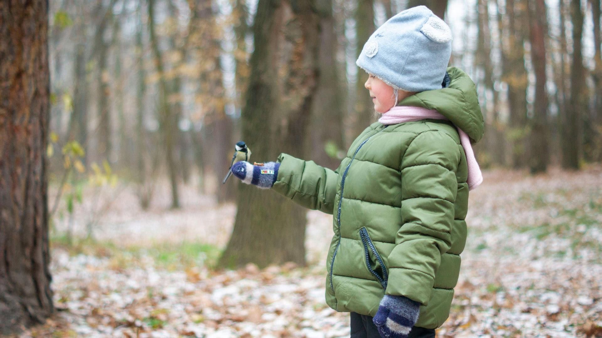 A child in the forest with a bird on her hand